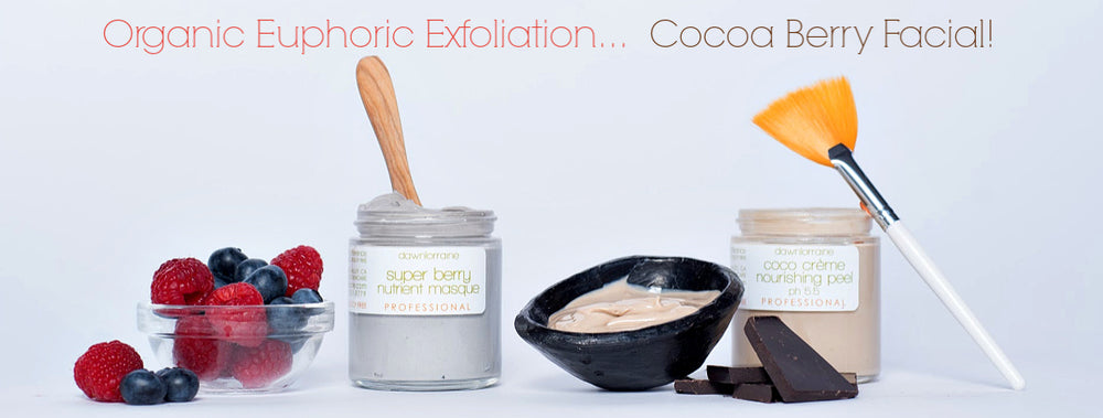 Organic Euphoric Exfoliation